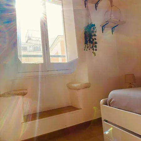 בית הארחה Vecchia בארי